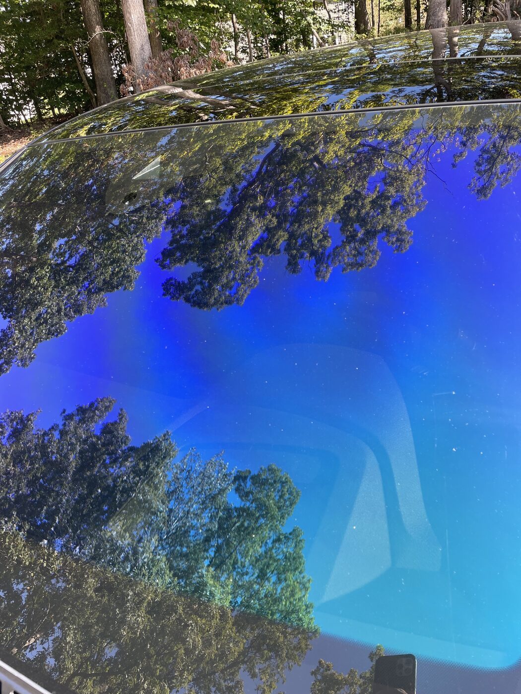Ceramic window tint with a deep, mirror-clear finish reflecting the trees
